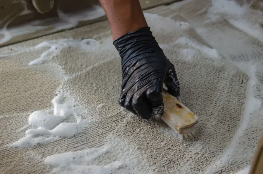 A person wearing black gloves cleans a carpet, demonstrating professional carpet cleaning services in Singapore.
