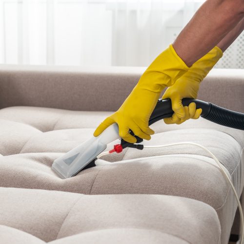 Dry cleaning worker removing dirt from sofa indoors