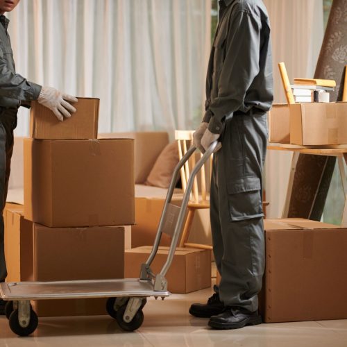 movers-putting-boxes-boving-cart